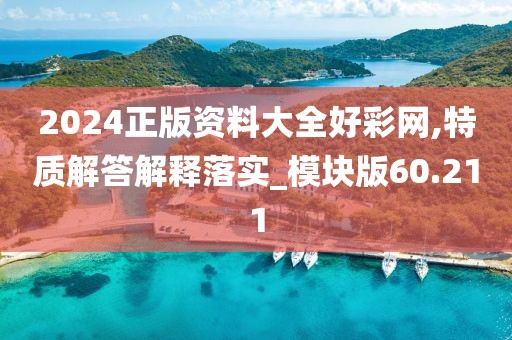 2024正版资料大全好彩网,特质解答解释落实_模块版60.211
