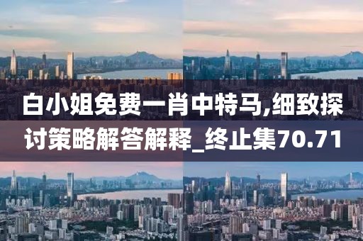 白小姐免费一肖中特马,细致探讨策略解答解释_终止集70.71