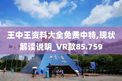 王中王资料大全免费中特,现状解读说明_VR款85.759
