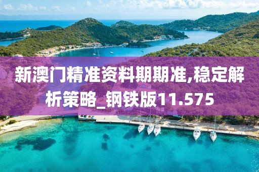 新澳门精准资料期期准,稳定解析策略_钢铁版11.575