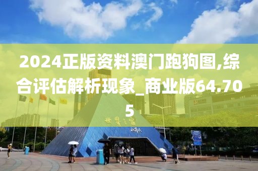 2024正版资料澳门跑狗图,综合评估解析现象_商业版64.705