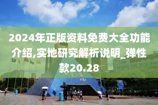 2024年正版资料免费大全功能介绍,实地研究解析说明_弹性款20.28