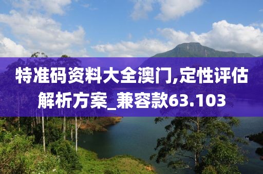 特准码资料大全澳门,定性评估解析方案_兼容款63.103