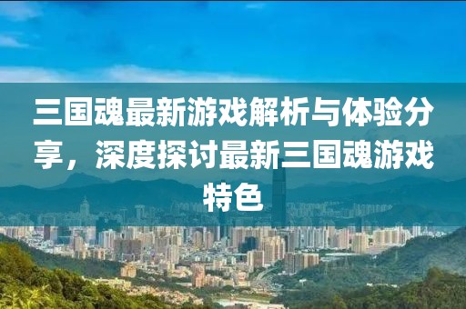三国魂最新游戏解析与体验分享，深度探讨最新三国魂游戏特色
