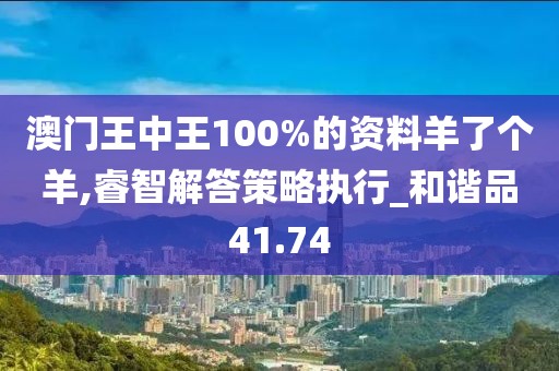 澳门王中王100%的资料羊了个羊,睿智解答策略执行_和谐品41.74
