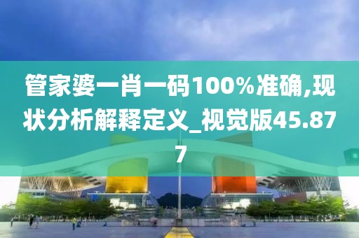 管家婆一肖一码100%准确,现状分析解释定义_视觉版45.877