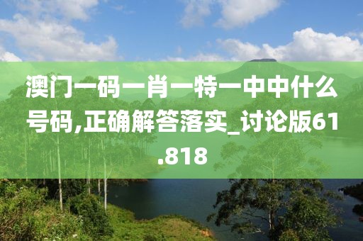 澳门一码一肖一特一中中什么号码,正确解答落实_讨论版61.818