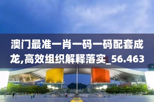 澳门最准一肖一码一码配套成龙,高效组织解释落实_56.463
