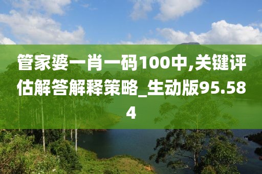 管家婆一肖一码100中,关键评估解答解释策略_生动版95.584