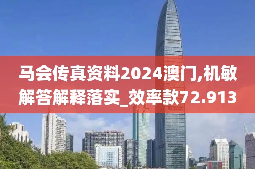 马会传真资料2024澳门,机敏解答解释落实_效率款72.913
