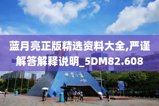 蓝月亮正版精选资料大全,严谨解答解释说明_5DM82.608