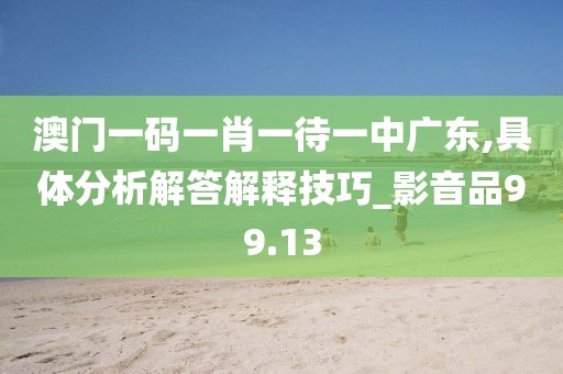 澳门一码一肖一待一中广东,具体分析解答解释技巧_影音品99.13
