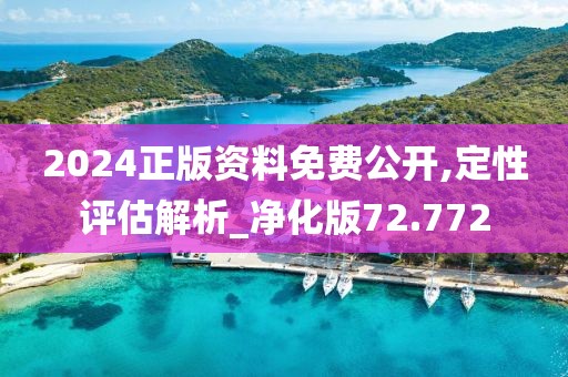 2024正版资料免费公开,定性评估解析_净化版72.772