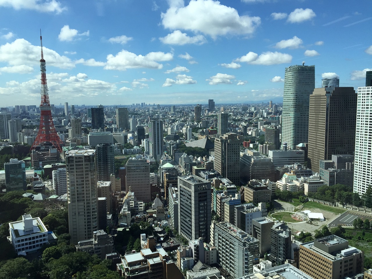 阳信最新楼盘信息深度解析