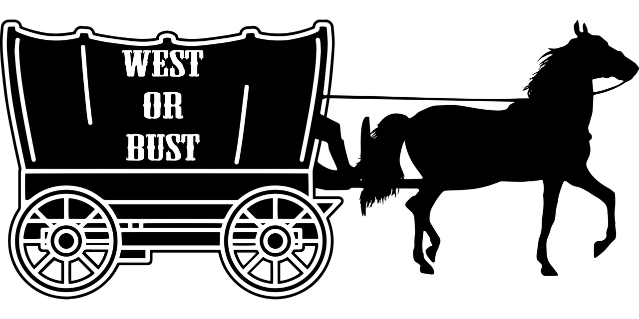 探索前沿科技与生活融合之美，一点马最新动态速递