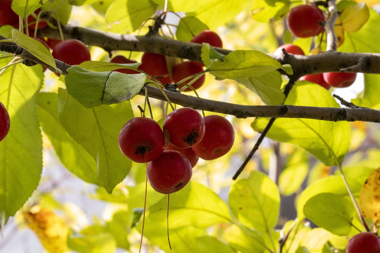 泛亚交易所最新动态深度解析