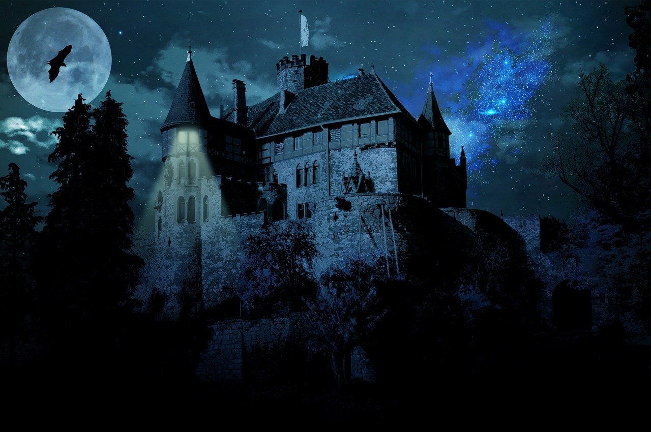 探索未知世界的神秘果实，最新恶魔果实及其研究揭秘