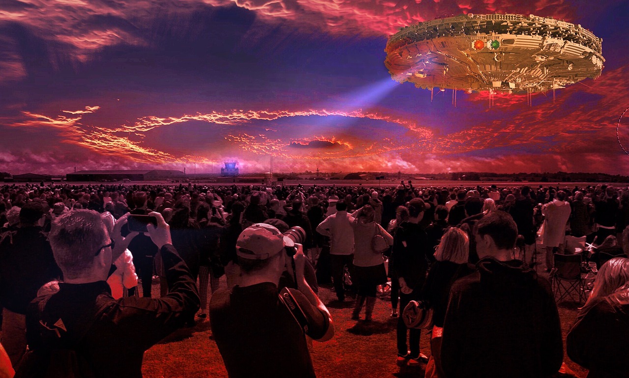 2024年11月19日 第112页