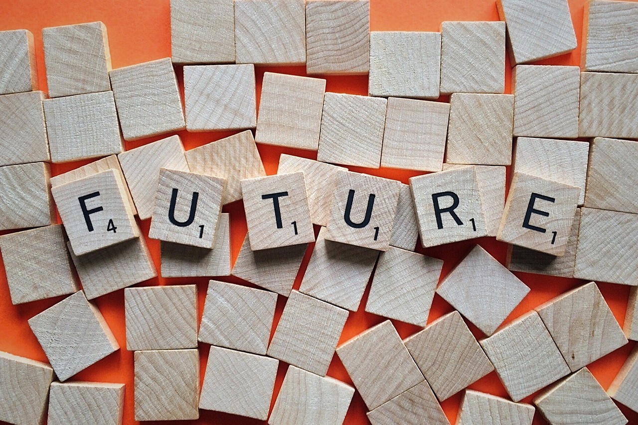 2024年正版资料全年免费,全面解析：专家解说中对术语的解释与定义