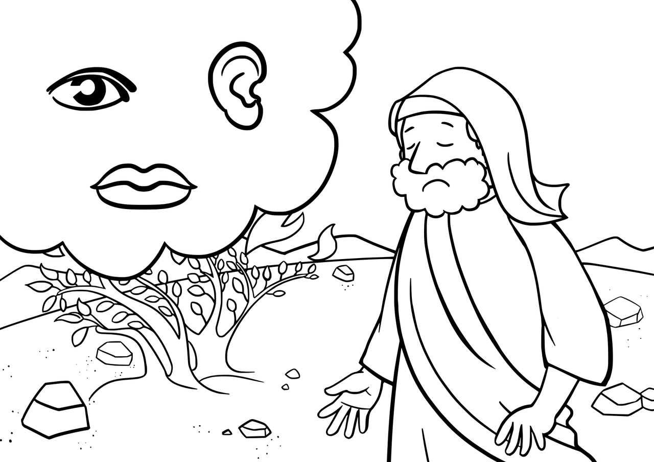 打屁股故事新探，深度解读文化传统（最新视角）