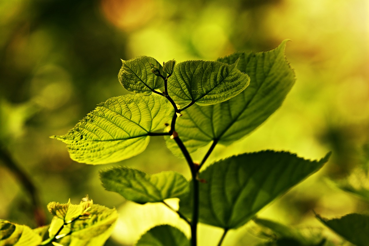 清清茶烟挽 第73页