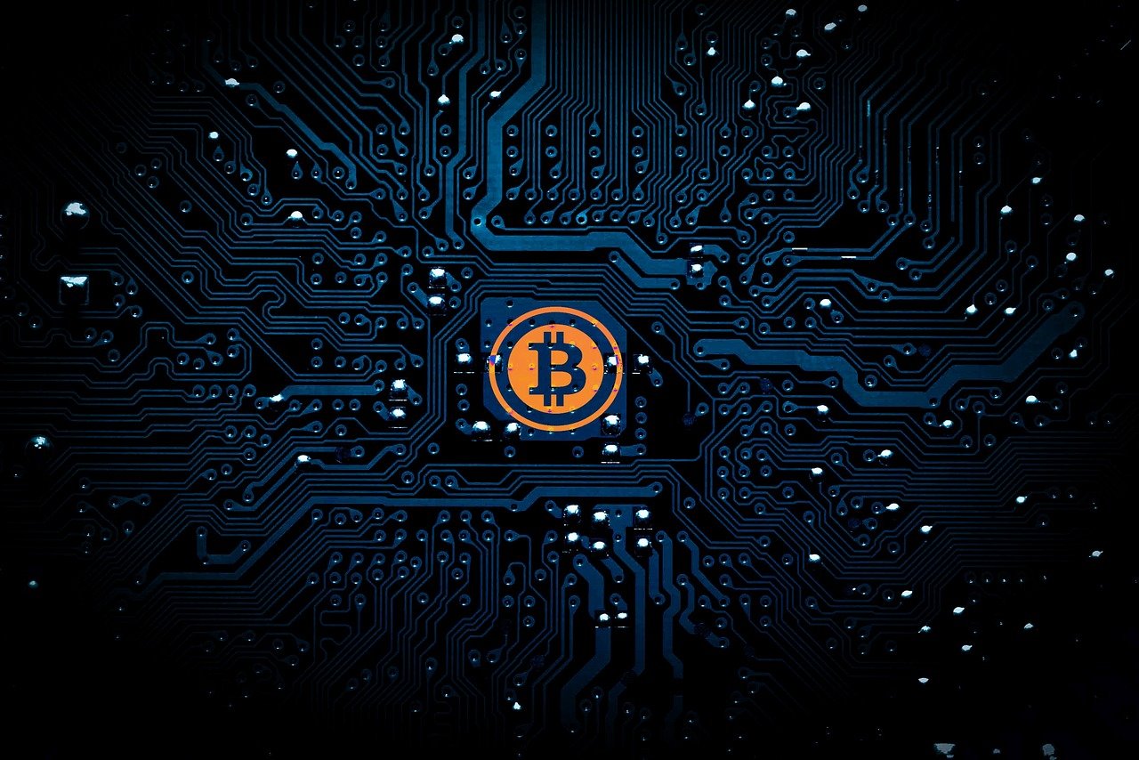 平菇最新技术，提升产量与品质的种植研究探索