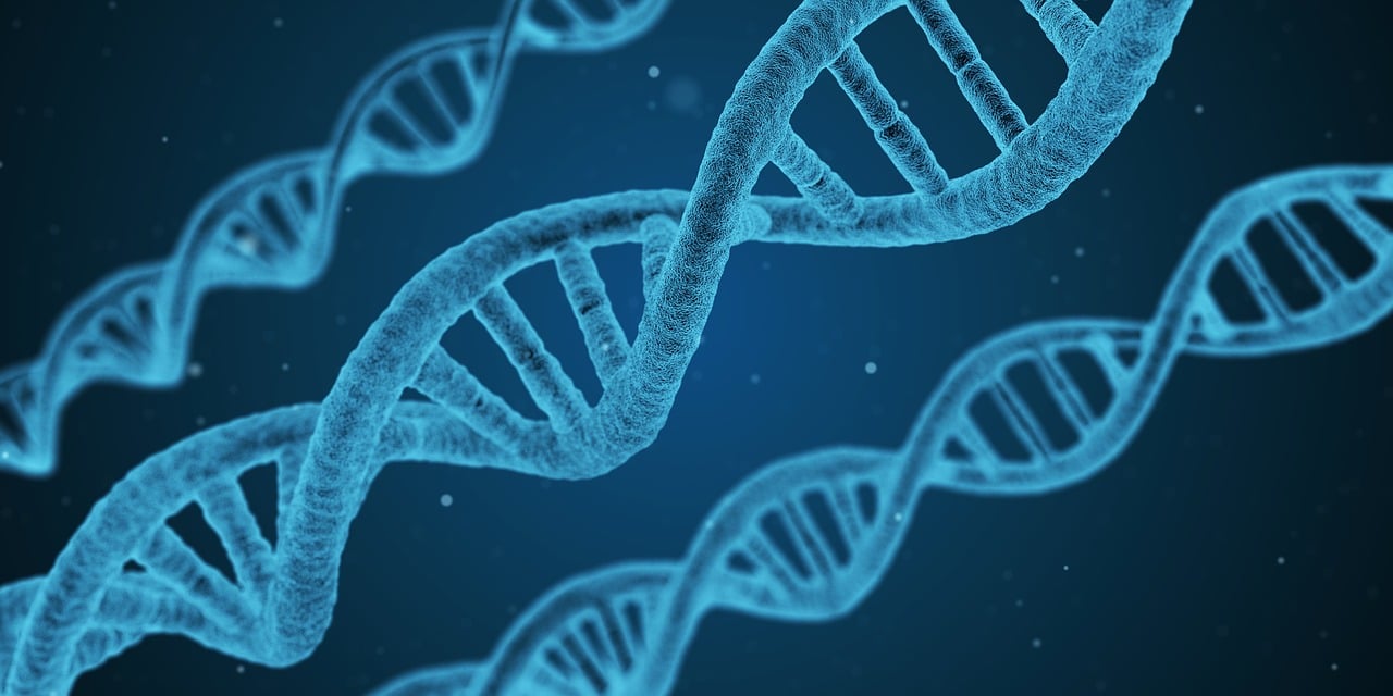 2024正版新奥管家婆香港，生物工程，共鸣版356.0495