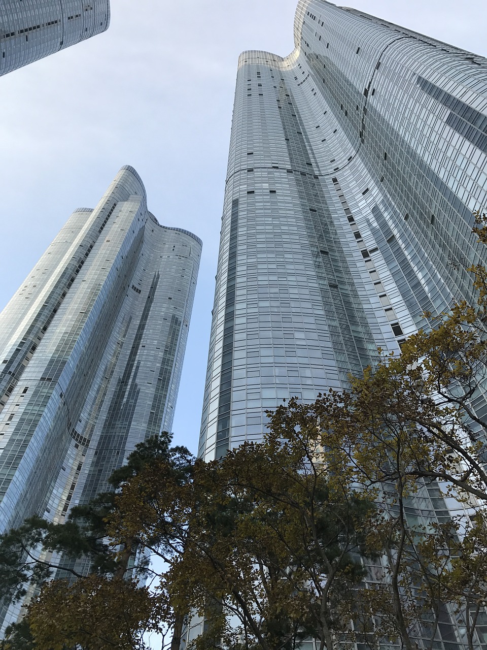 柳白新城最新进展及未来繁荣发展的蓝图展望