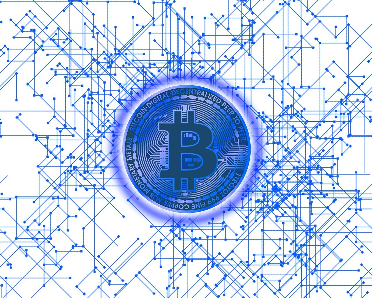 最新中蜂群研究进展与养殖管理策略探讨