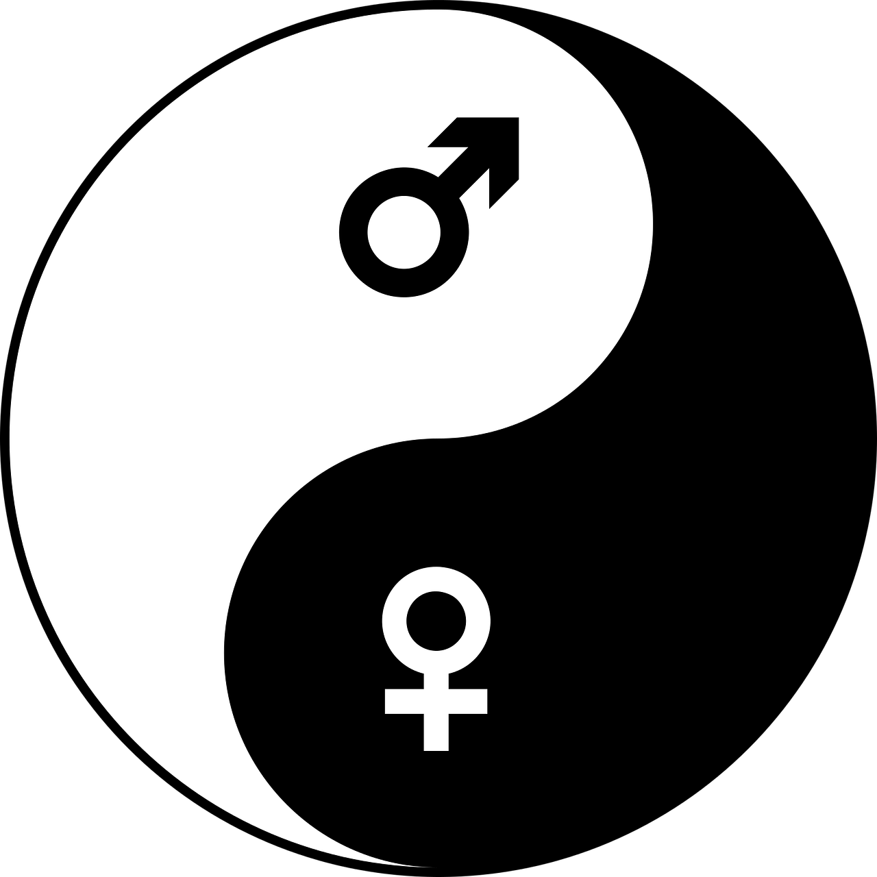 最新测男女，探索性别身份认同的新视角