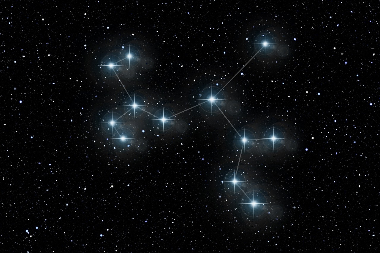 2024新澳门今天晚上开什么生肖,实时分析处理，明星专属版KT5493.4692