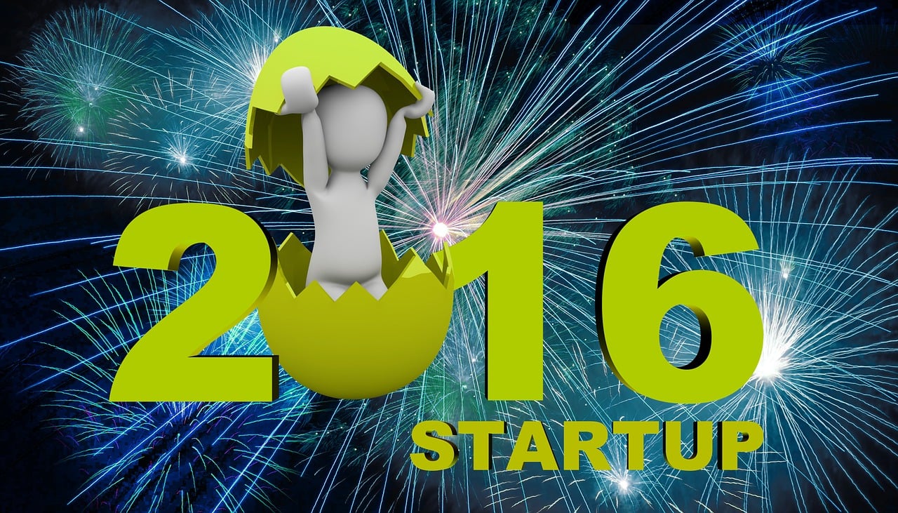 揭秘2017年最新开奖结果，行业世界深度分析与解读