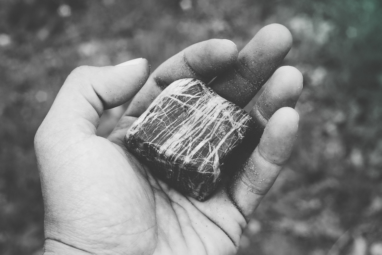 半月板再生最新成果，科学突破与未来展望的展望研究